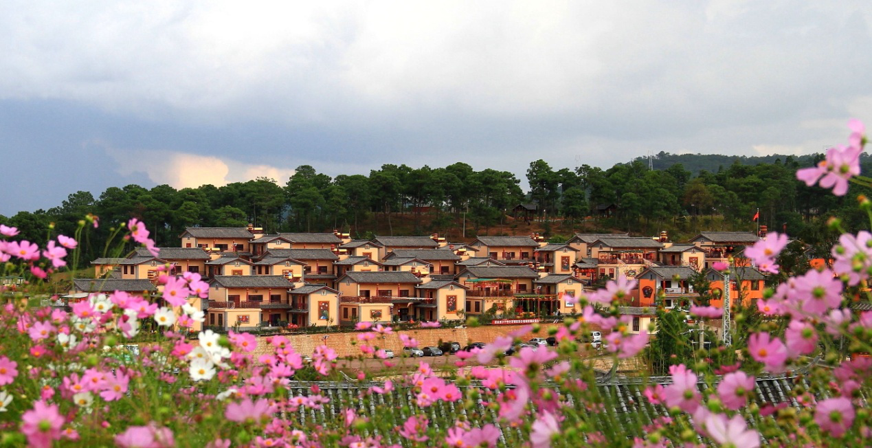 紫溪彝村1.png